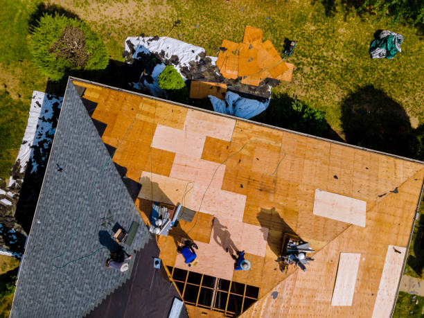 Best Gutter Installation and Roofing  in Glennville, GA