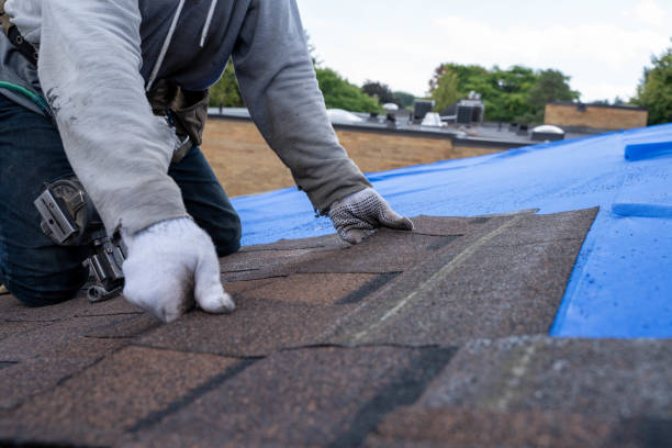 Best Roofing Contractor Near Me  in Glennville, GA