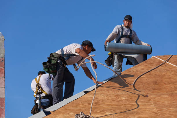 Best Best Roofing Contractors  in Glennville, GA
