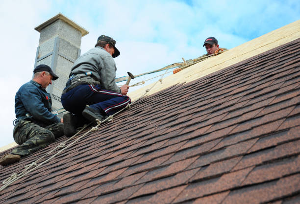 Best Local Roofing Companies  in Glennville, GA